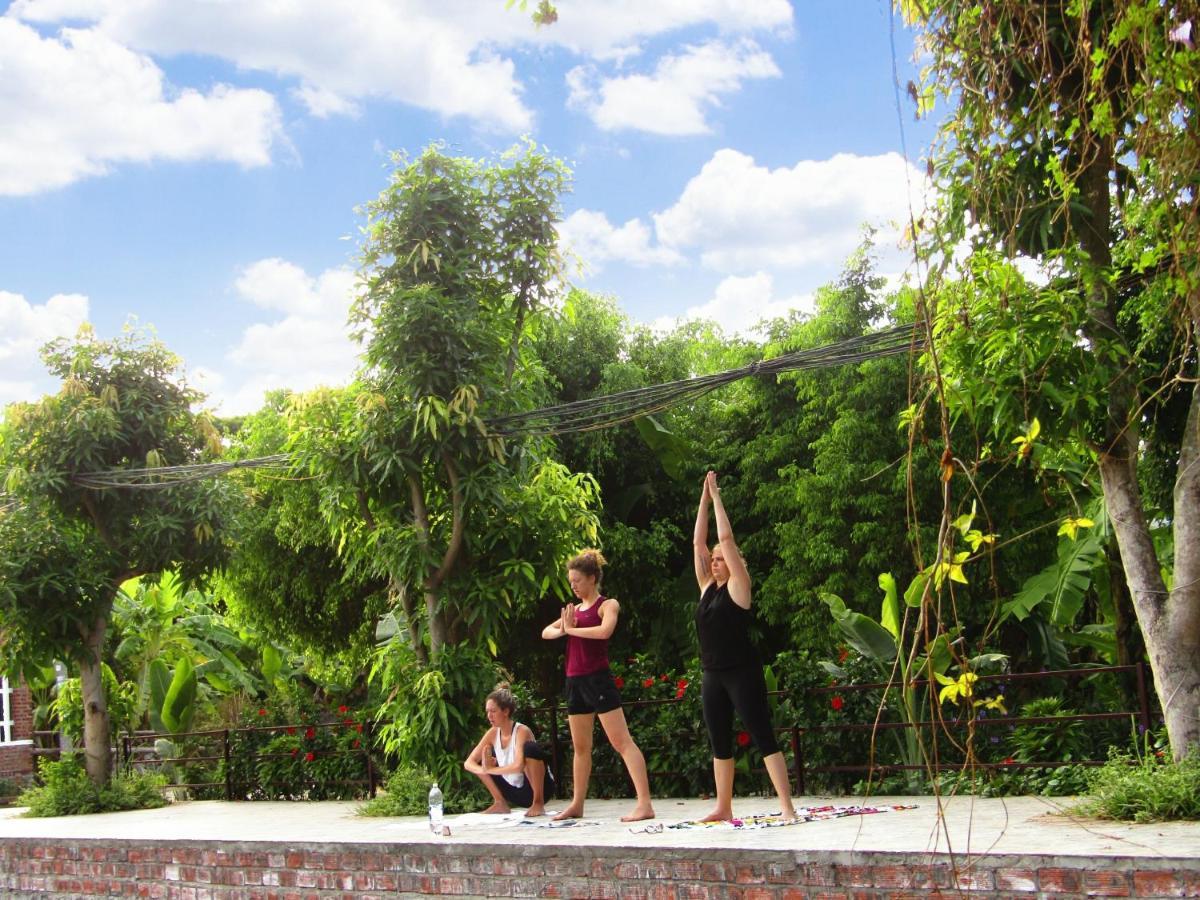 Ninh Binh Mountain Side Homestay&Cafe Exterior foto