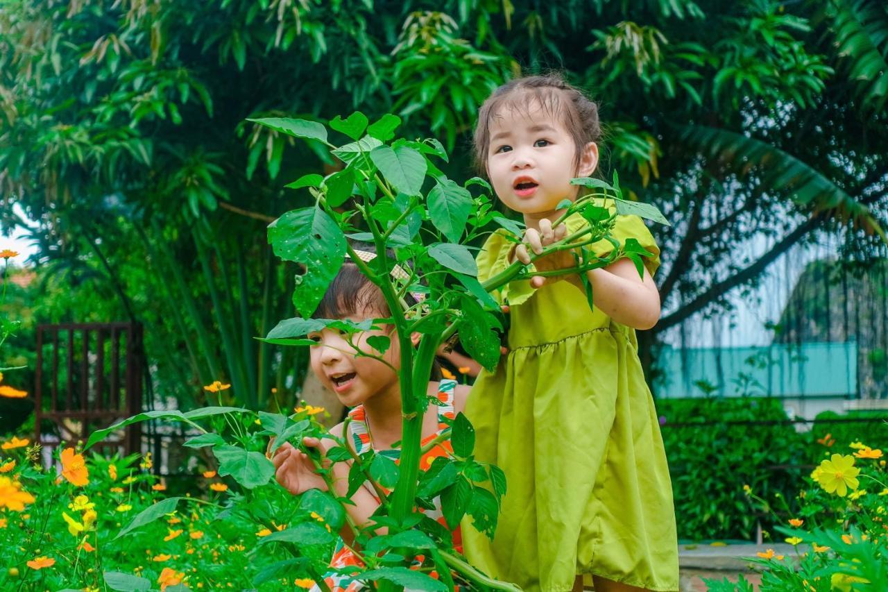 Ninh Binh Mountain Side Homestay&Cafe Exterior foto